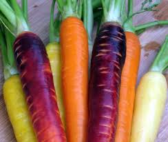 rainbow-carrots