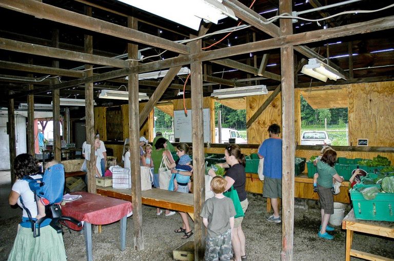 Introduction to CSA Procedures, Tips and Simply Fresh Blog Farm