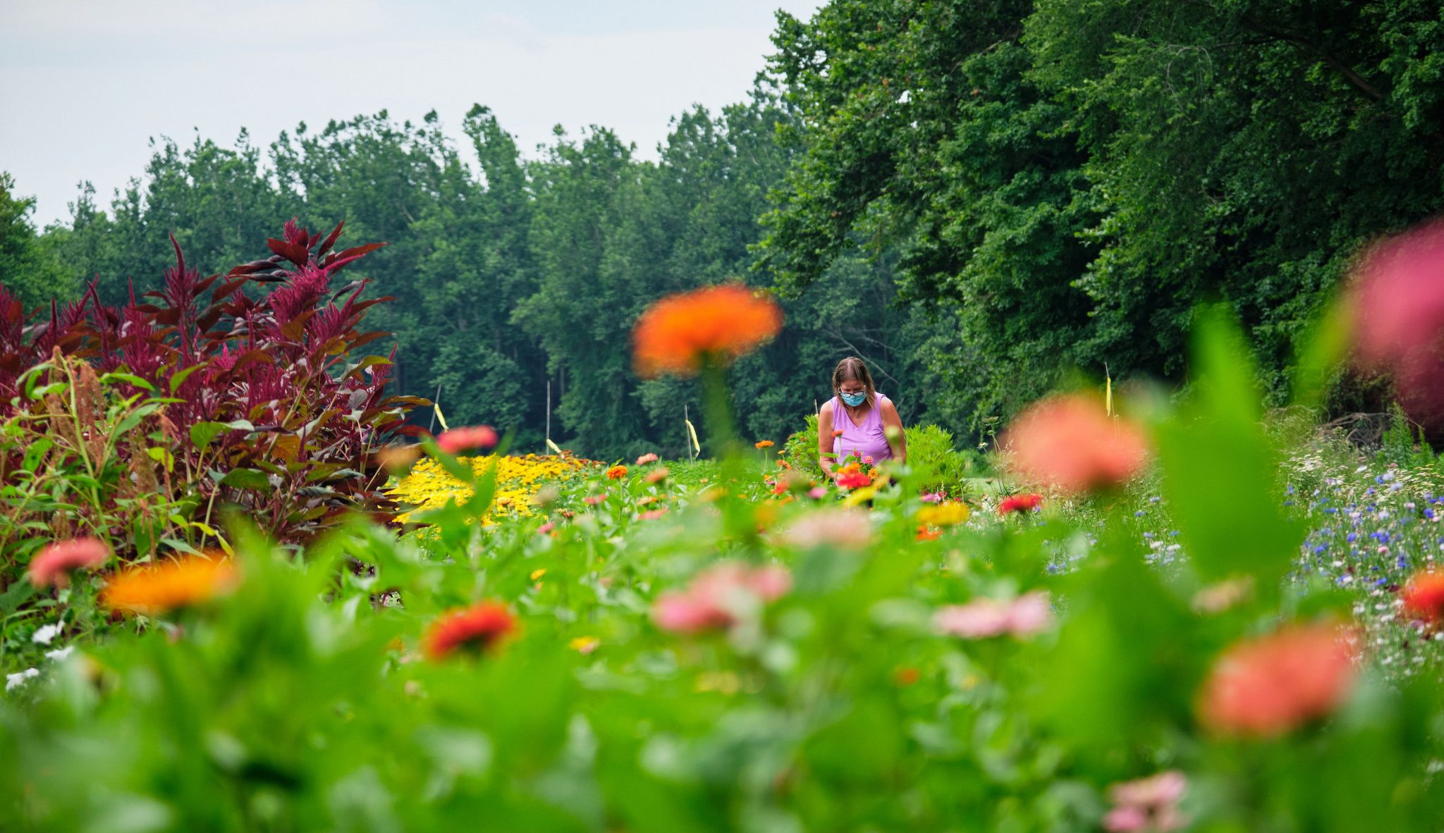 Mission Statement Farm