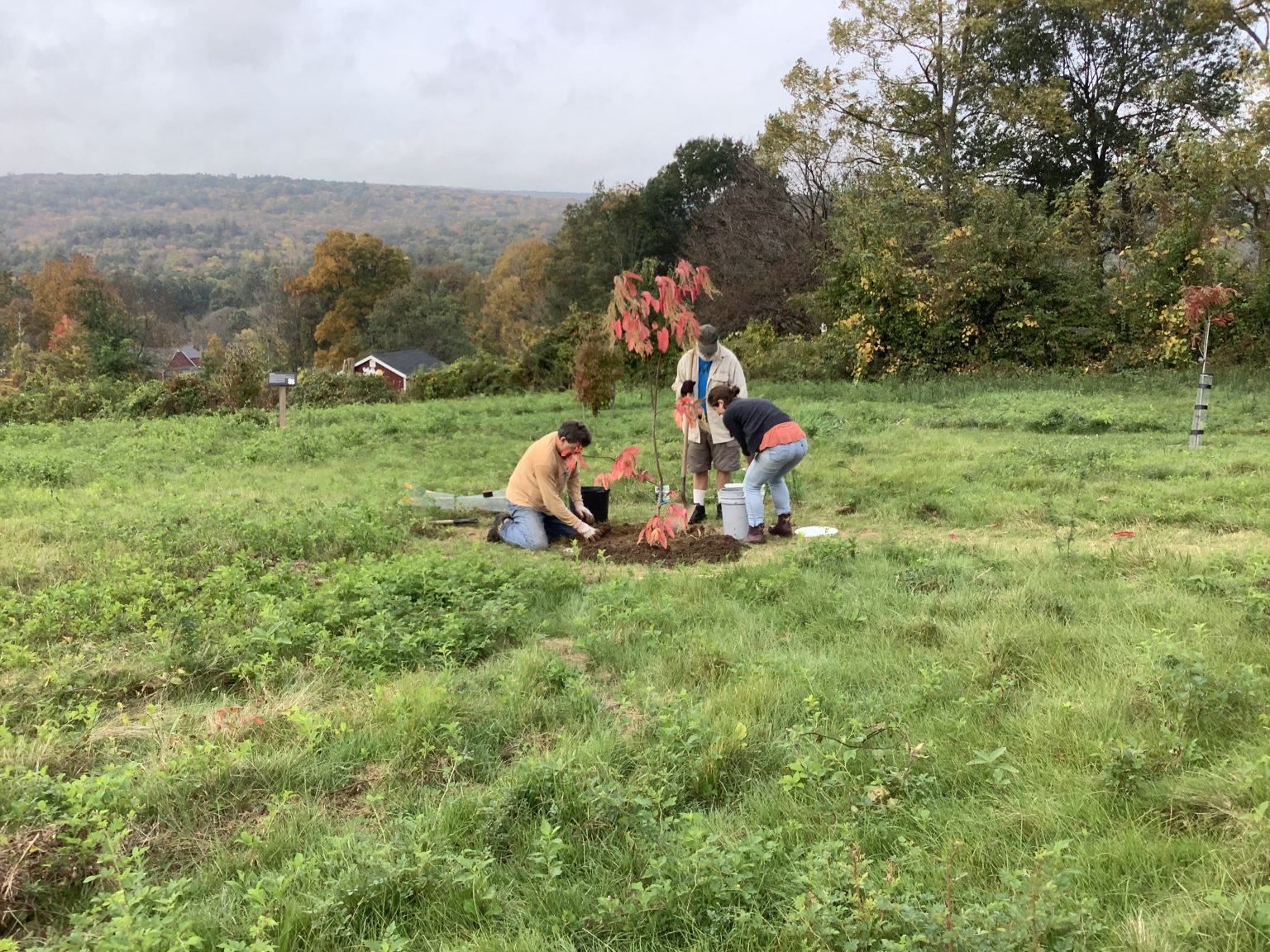 Friends of Farm Farm