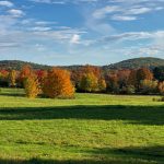 IMG_9198 (002) (003)