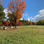 IMG_7011-fall hillside knoll