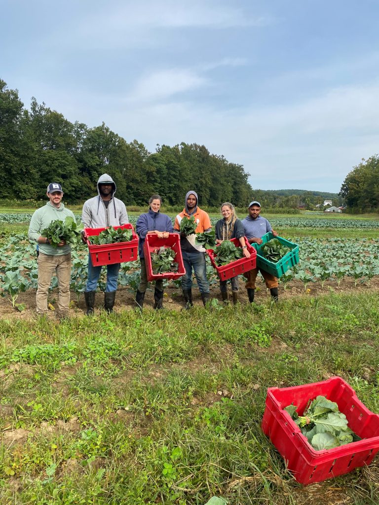 Farm Crew Harvest Shot 2024