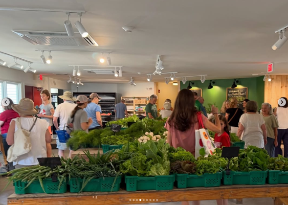 Farm Store Hopping
